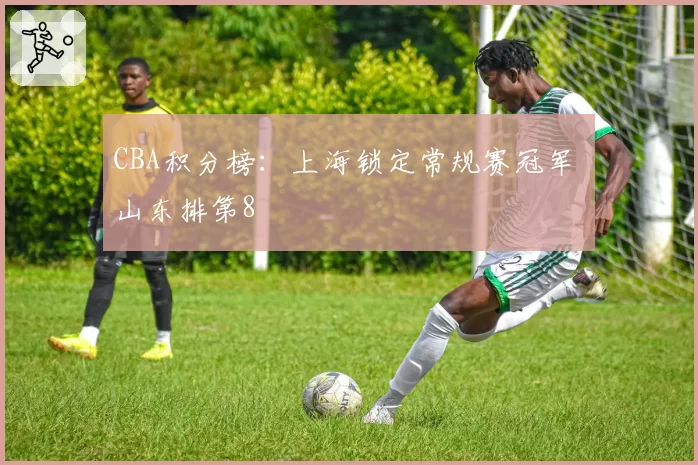 CBA积分榜：上海锁定常规赛冠军 山东排第8