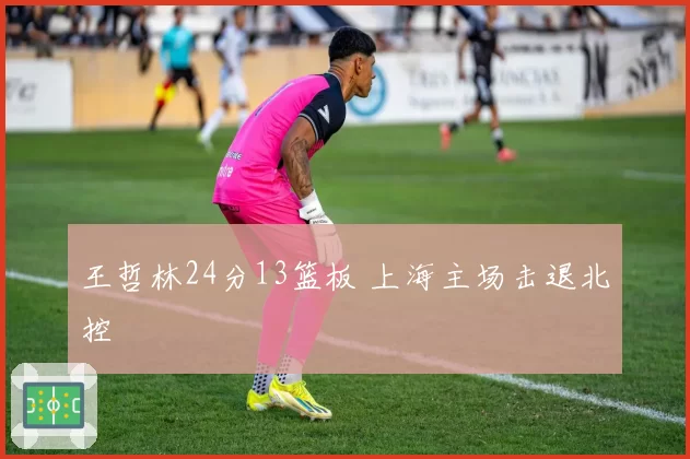 王哲林24分13篮板 上海主场击退北控